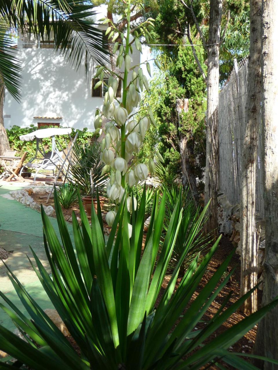 Casa Molily Aparthotel Palma de Mallorca
