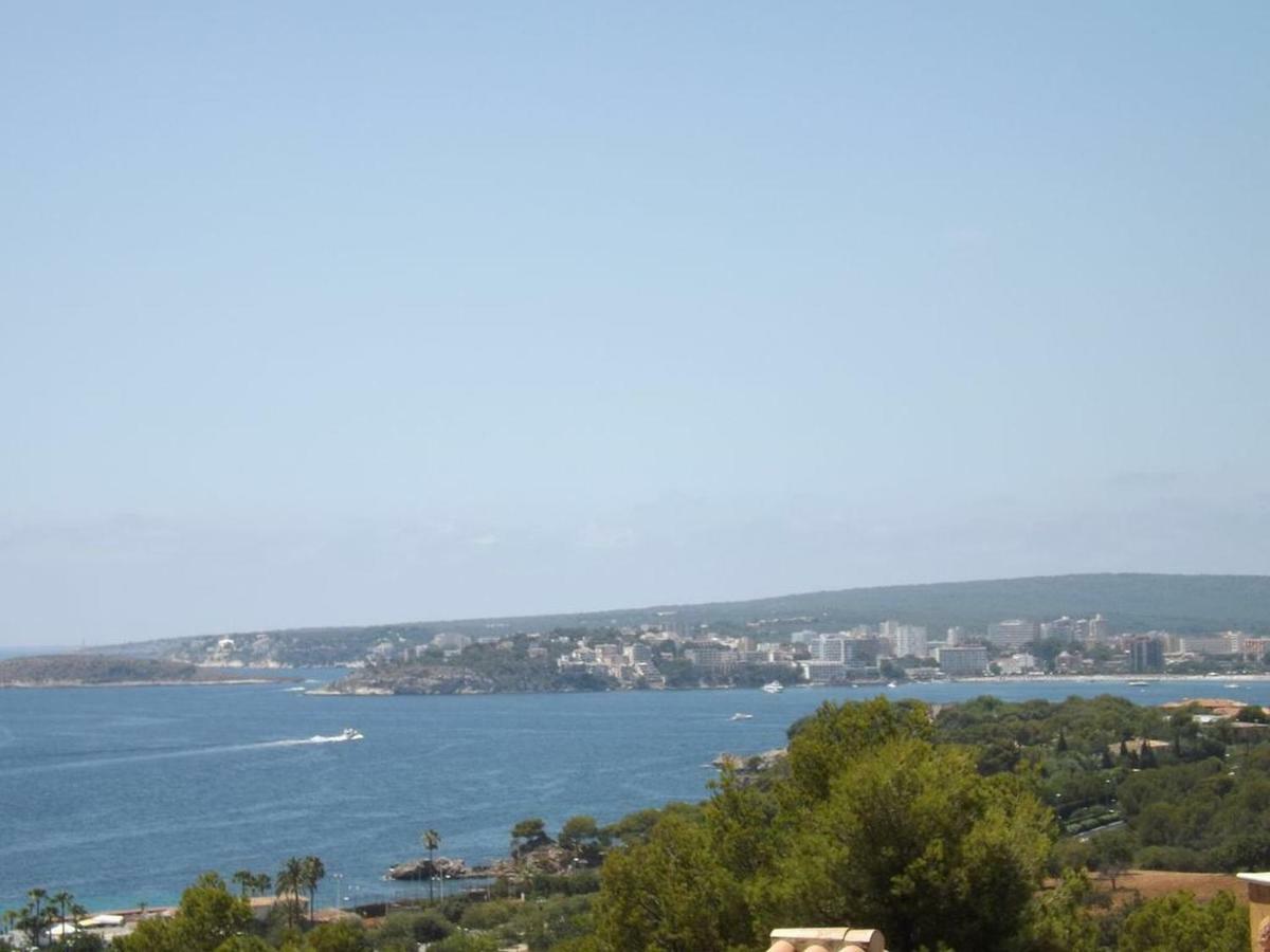 Que Sera Palma de Maiorca