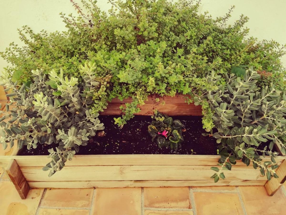 Encantadora Casita En Holiday home Palma de Mallorca