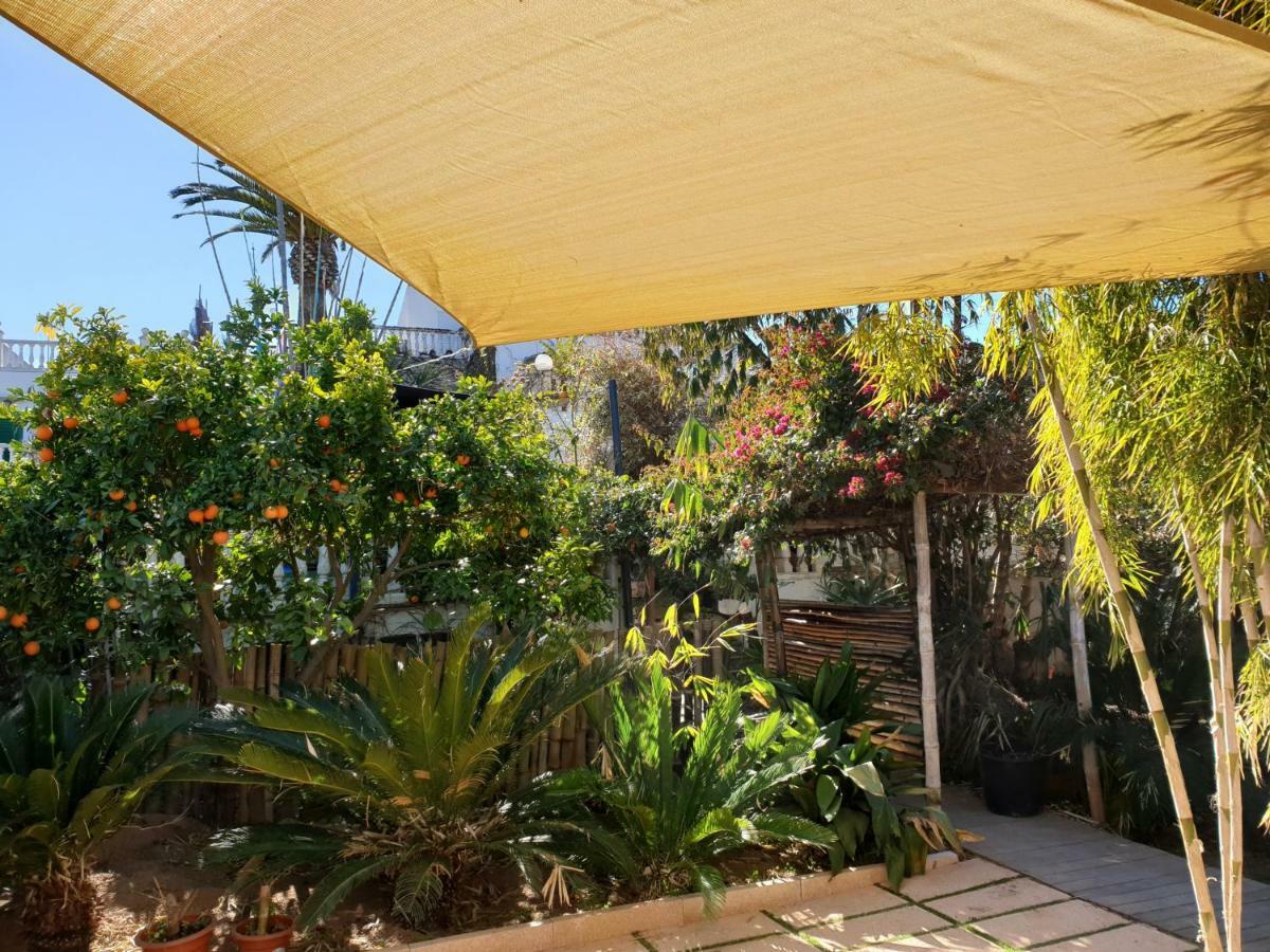 The Green House - Adults Only