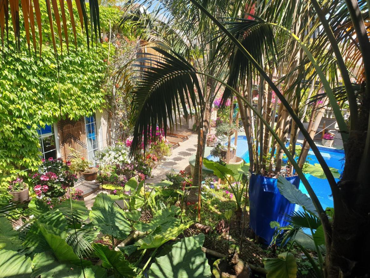 The Green House - Adults Only *