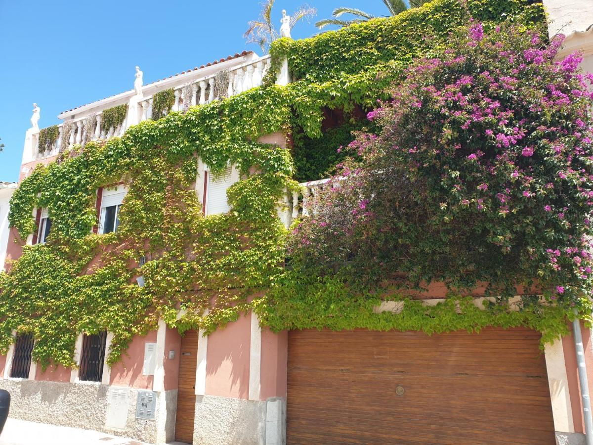 The Green House - Adults Only