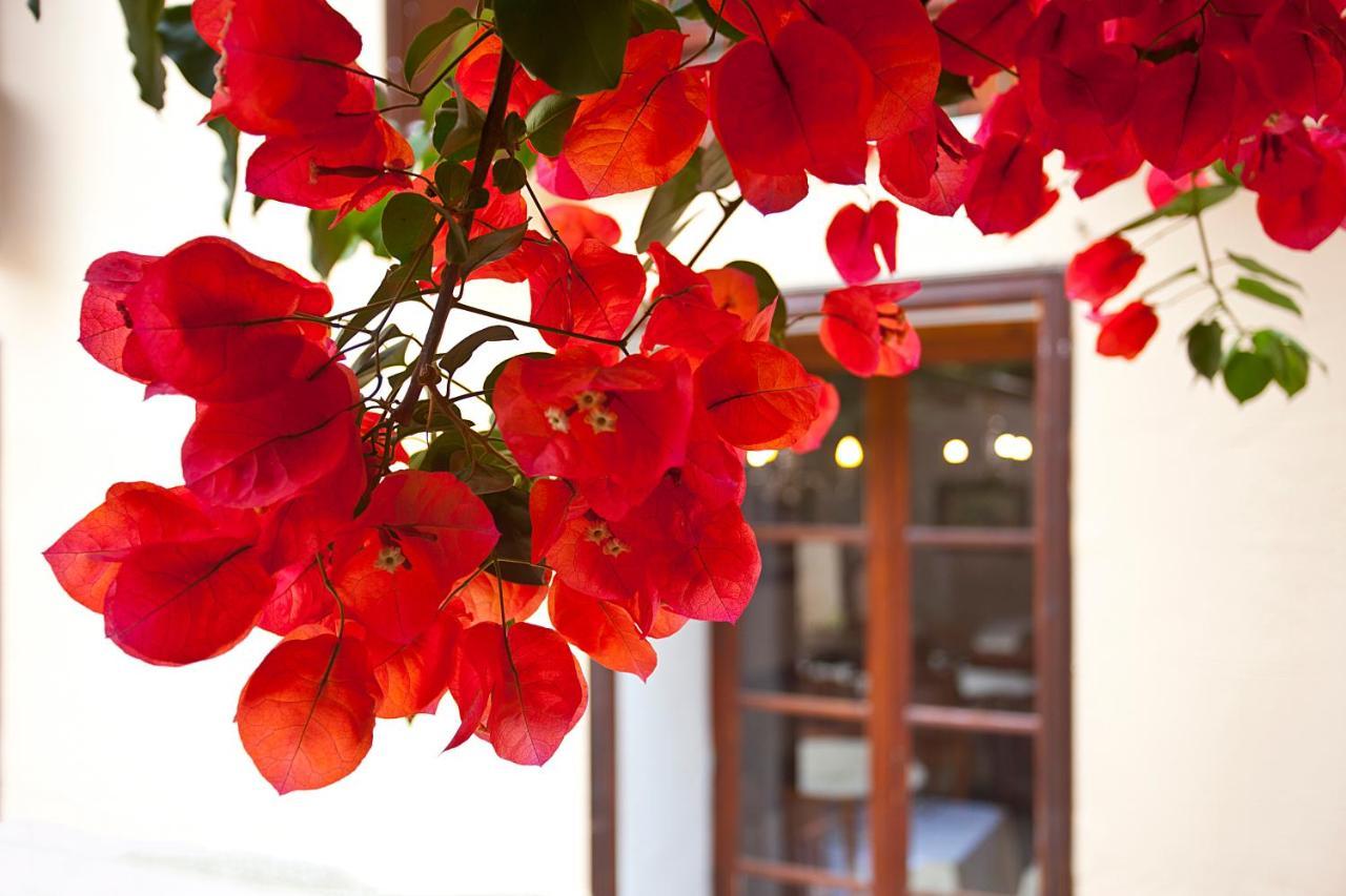Dalt Murada - Turismo De Interior Hotel Palma de Maiorca