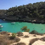 Palma 54