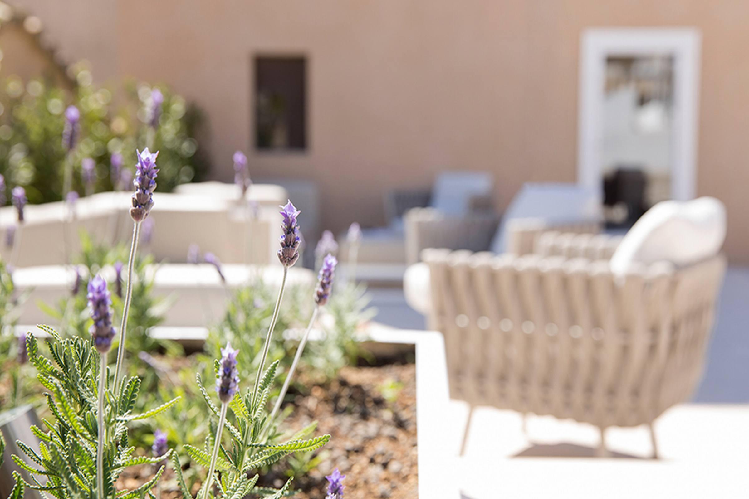 Hotel Convent De La Missio - Grand Luxury Boutique Hotel, Adults Only Palma de Mallorca